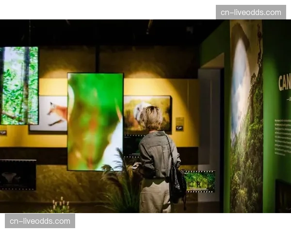 摩纳哥公布新球场数字生态系统合作伙伴，将引入沉浸式观赛技术